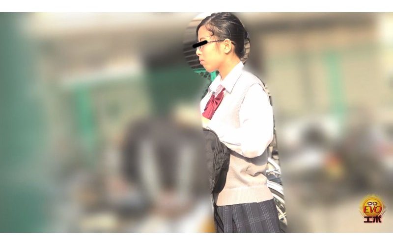 追跡盗撮 濃密どっぷりトイレ自慰 街行く美女はトイレオナニスト