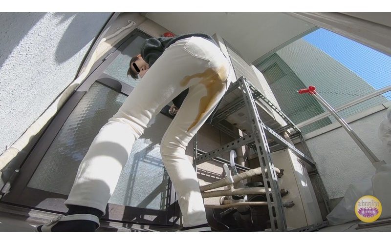 デイサービスヘルパー 下剤混入虐め糞もらし