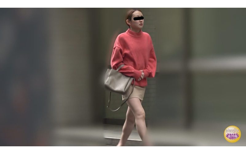 隠撮　公衆トイレ絶景直下うんこ